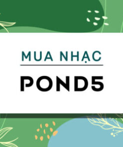 Mua Music Pond5 Bản Quyền Giả Rẻ Chỉ 50% Giá Gốc