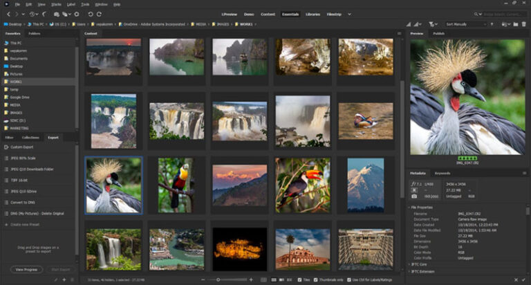 Adobe Bridge - Công Cụ Quản Lý Tài Nguyên Mạnh Mẽ