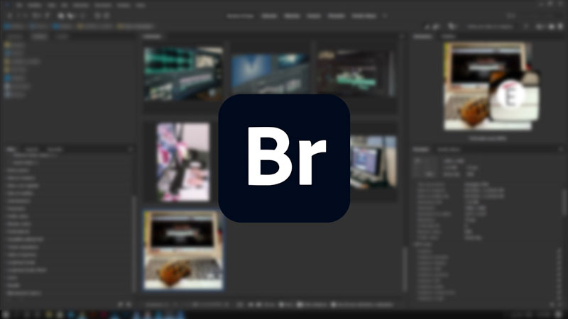 Adobe Bridge - Công Cụ Quản Lý Tài Nguyên Mạnh Mẽ